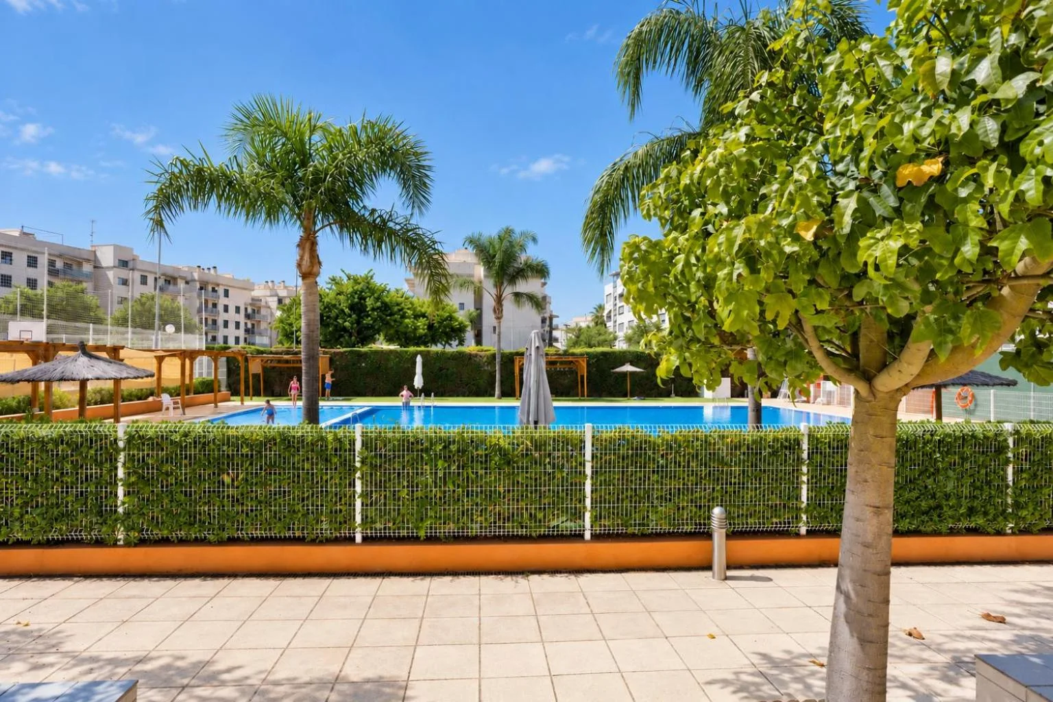 Piscina con palmeras